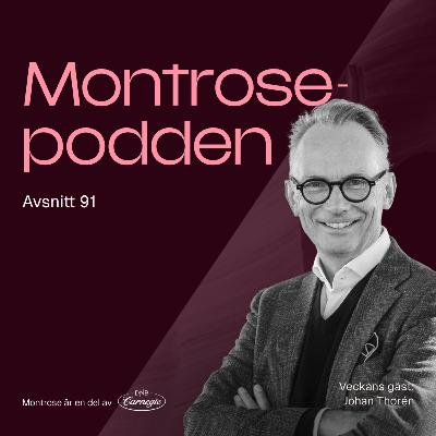 #91 - Johan Thorén: Fondflödenas förbannelse, Storytels Spotifyboost och flygande mattan i Rugvista