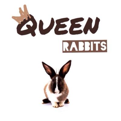 Episode 9 Queen Rabbits Cara PDKT Sama cowok Jepang, Korea, Turki dan Lainya