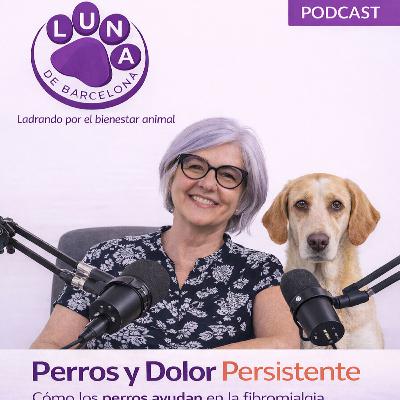 Perros y Dolor Persistente: Cómo los perros ayudan en la fibromialgia y el manejo del dolor Perros y Dolor Persistente: Cómo los perros ayudan en la fibromialgia y el manejo del dolor