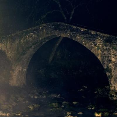 Doggy Death Bridge