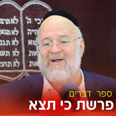 פרשת כי תצא תשפ"ד - הרב ברוך רוזנבלום