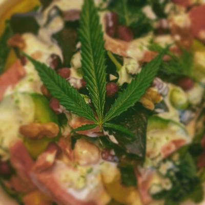Happy 4/20 Raw Update on Quarantine