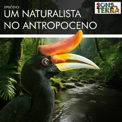 Mauro Galetti: um biólogo em busca do selvagem