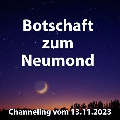 #35 Botschaft zum Neumond - Channeling vom 13.11.2023