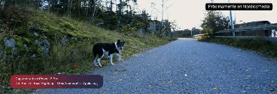 Enregistrar vídeo amb lents anamòrfiques – Programa 644 Enregistrar vídeo amb lents anamòrfiques – Programa 644