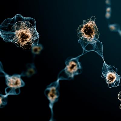What Yogurt Bacteria Know About Innovation