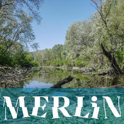 Restoring Europe's landscapes through the Green Deal and Nature Restoration Law