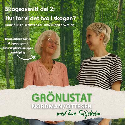 Skogsavsnitt del 2: Hur får vi det bra i skogen? Skogsavsnitt del 2: Hur får vi det bra i skogen?