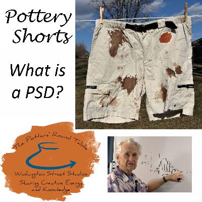 Pottery Shorts: What is a PSD Pottery Shorts: What is a PSD