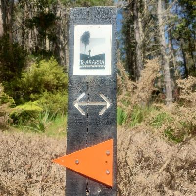 わたしを責めるのはわたし自身だ。day15