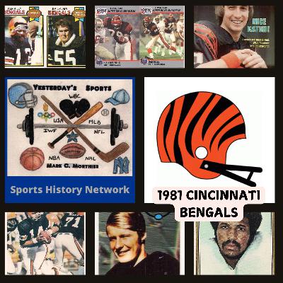 1981 Cincinnati Bengals (Part 1)