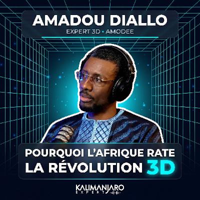 #372 AMADOU DIALLO : LES SECRETS DE L'IMPRESSION 3D POUR INDUSTRIALISER L'AFRIQUE #372 AMADOU DIALLO : LES SECRETS DE L'IMPRESSION 3D POUR INDUSTRIALISER L'AFRIQUE