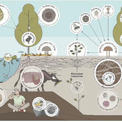 Passport to Kingdom Fungi Audio Book (Unofficial): Chapter 1 Understanding Our Fungal Friends