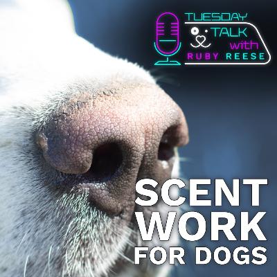 Scent Work for Dogs