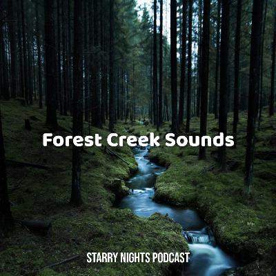 3hrs of Forest Creek Soundscape to Help You Sleep, Relax, & Beat Insomnia