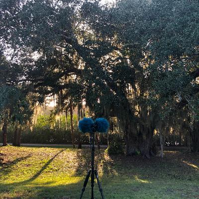 Train passing by at a distance, during the night