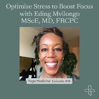 Optimize Stress to Boost Focus with Eding Mvilongo MScE, MD, FRCPC