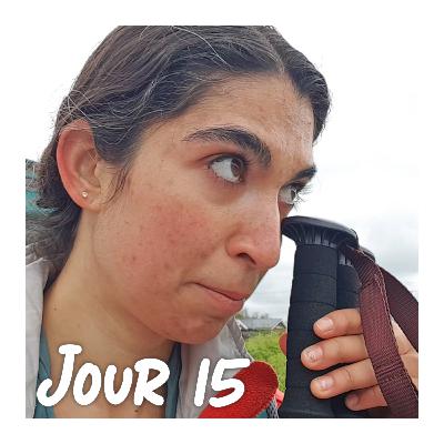 Jour 15 - L'arrivée Jour 15 - L'arrivée