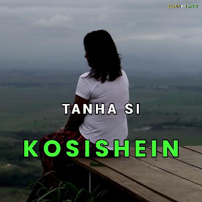 Tanha Si Kosishein | Hindi Poetry On Efforts