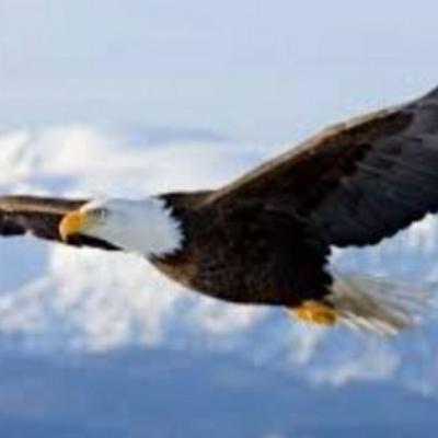 Metáfora EL DOLOR Y LA NADA