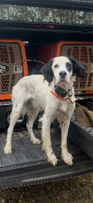 E 261. Chasing Birds & Elite Ear Pro with Alclair Outdoors