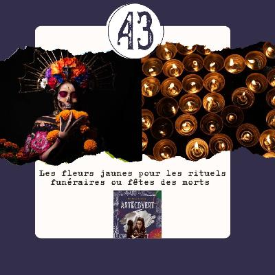 Les fleurs jaunes pour les rituels funéraires ou fêtes des morts Les fleurs jaunes pour les rituels funéraires ou fêtes des morts