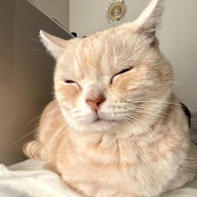 【雑談回04】おたより読んだりオススメ番組紹介したり 【雑談回04】おたより読んだりオススメ番組紹介したり