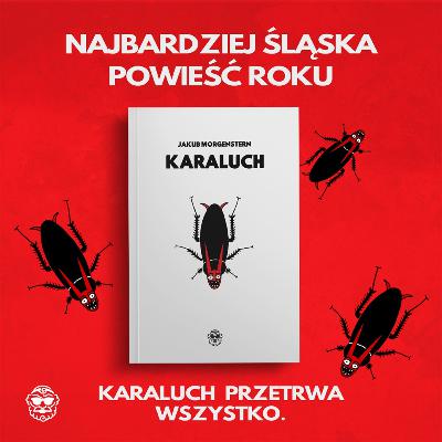 Śląska historia, która ROZRYWA na STRZĘPY – „Karaluch” [Audiobook]
