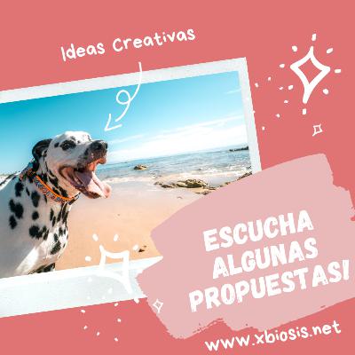 Como las ideas creativas pueden ayudarnos hacer videos o audios exitosos parte 1