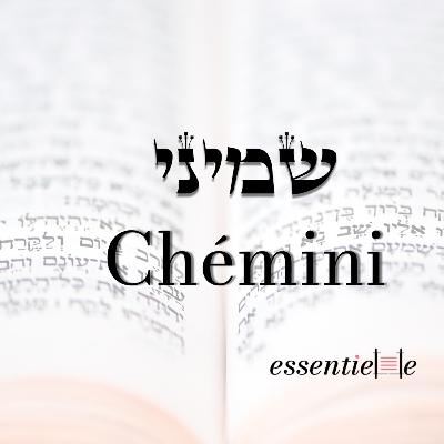 5785 - Chémini - La religion est elle dangereuse ? 5785 - Chémini - La religion est elle dangereuse ?