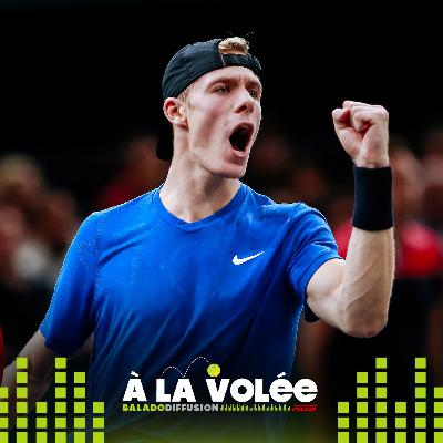 Il fallait Djokovic pour arrêter Shapovalov - 4 novembre 2019