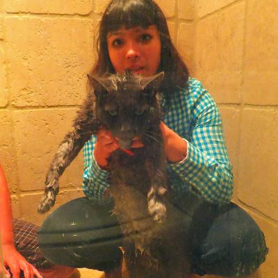 AJ Matias Bell (Nightjars)