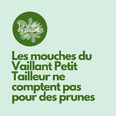 Les mouches du Vaillant Petit Tailleur ne comptent pas pour des prunes