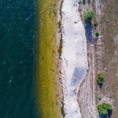 Cottbuser Ostsee: Fischreichtum mit Überraschungen im Tagebausee