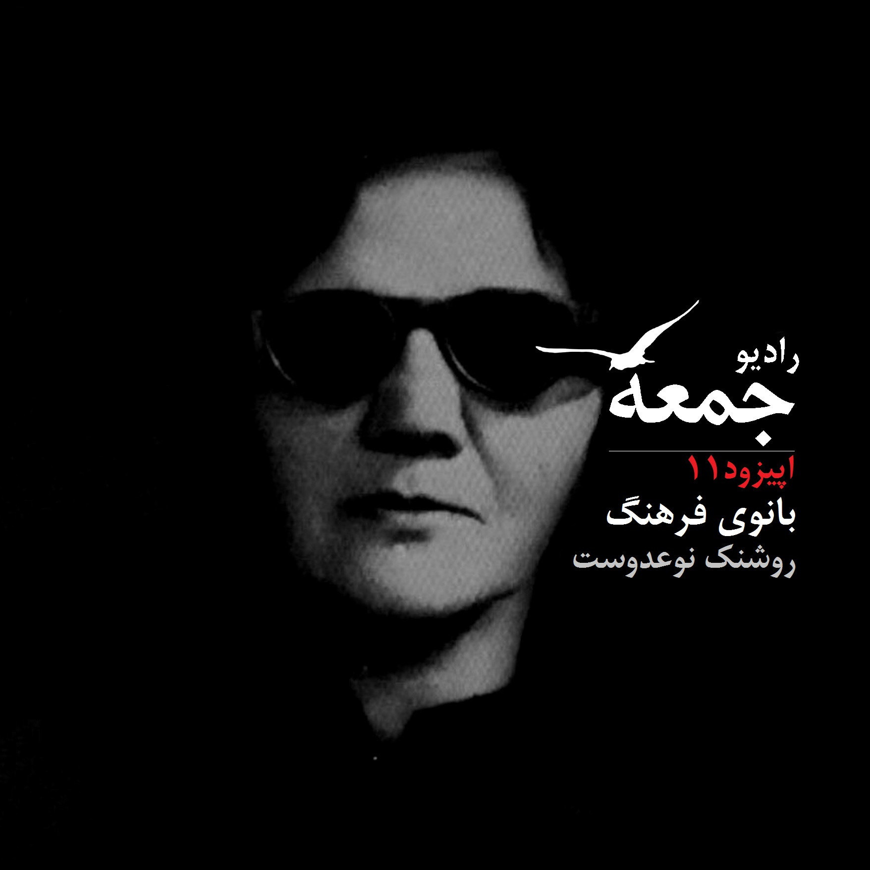 بانوی فرهنگ، زندگی و زمانه‌ی روشنک نوعدوست- بخش اول