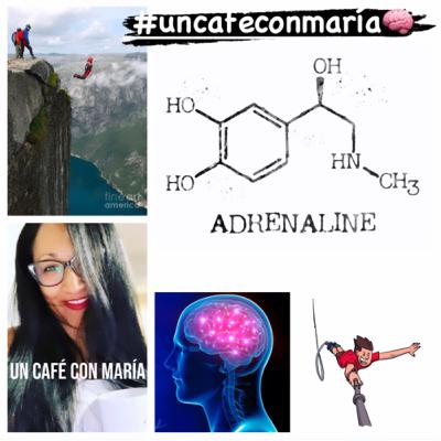 S1: E13- Adictos a la Adrenalina- ¿Aventureros, Atrevidos, Entusiastas ó Inconscientes? S1: E13- Adictos a la Adrenalina- ¿Aventureros, Atrevidos, Entusiastas ó Inconscientes?
