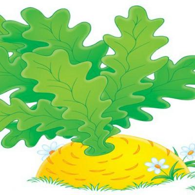 The very big turnip The very big turnip