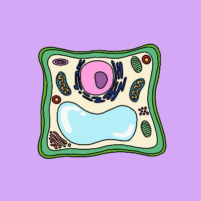 Characteristics of Living Organisms