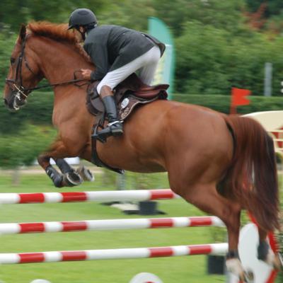 Le Challenge Part 1: Le saut d’obstacles