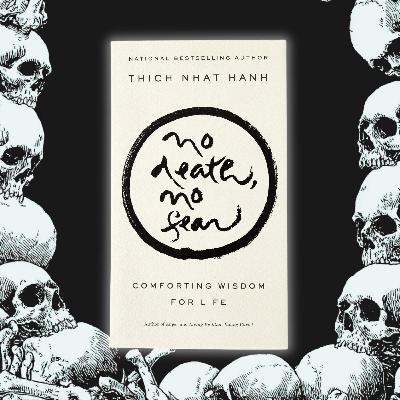 《你可以不怕死》無死無懼：當我們明白「死亡只是生命形式的轉變」（好書推薦：No death, no fear）