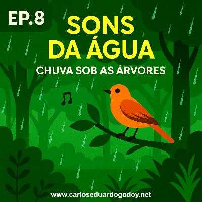SONS DA ÁGUA EP. 8 - Chuva sob as árvores SONS DA ÁGUA EP. 8 - Chuva sob as árvores