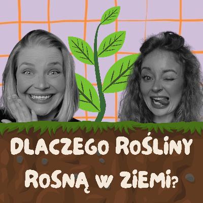 Dlaczego rośliny rosną w ziemi?