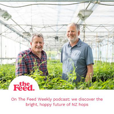 Hop and happening – how NZ hops became big. With Ron Beatson and Kerry Templeton