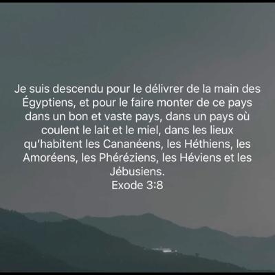 Dieu veut t’utiliser après ta délivrance