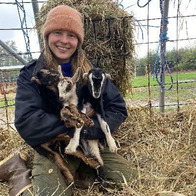 Cheese Inspiration with Nico Brossar of North Country Creamery