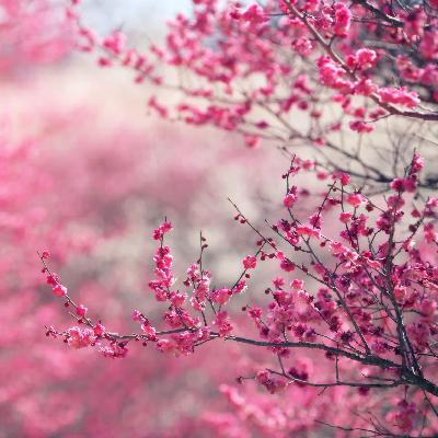 Pictures - Dan Evmark