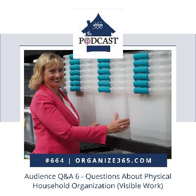 664 - Audience Q&A 6 - Physical Household Management (Visible Work)