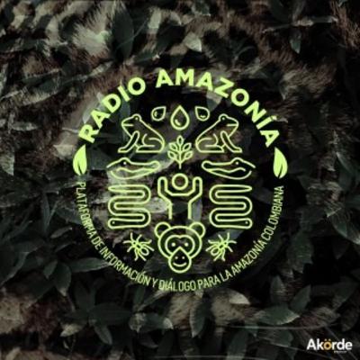 Deforestación y posconflicto: los retos de la paz ambiental en la Amazonía