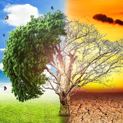 How Global Warming is Effecting not only the World...but America as well