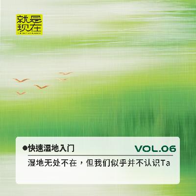 vol.06 湿地无处不在，但我们似乎并不认识 Ta